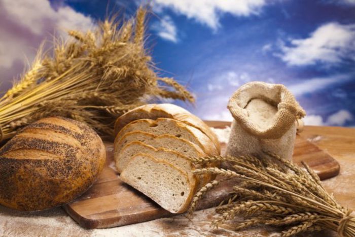 depositphotos_14215353-stock-photo-variety-of-whole-wheat-bread.jpg